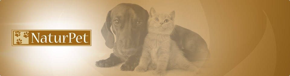 Dog Health