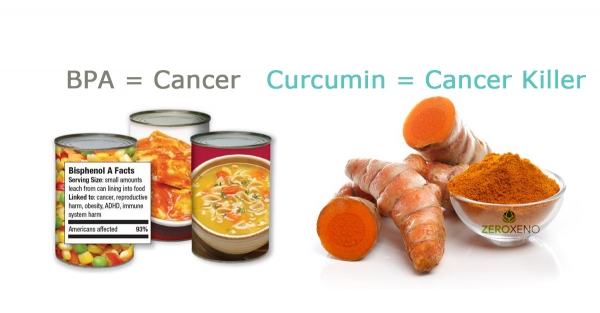 BPA Causes Cancer &amp; Curcumin Kills Cancer 