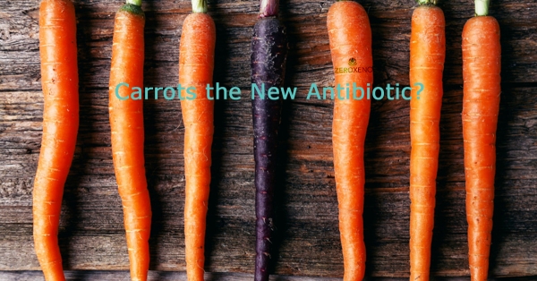 Carrots - Are They the New Antibiotic?