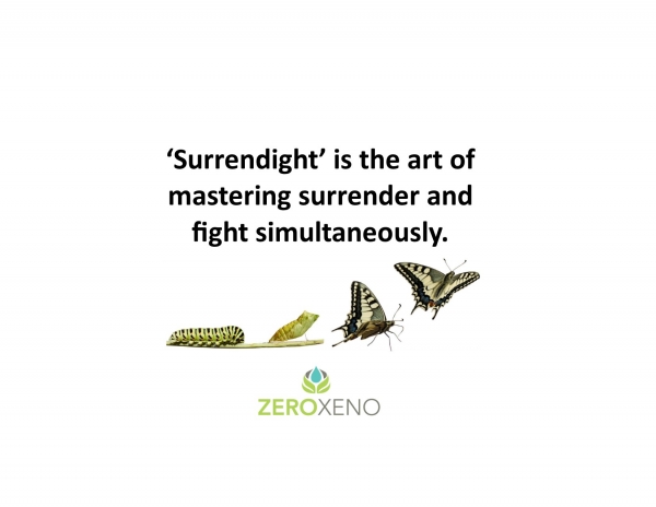 Surrendight - It's All You've Got!
