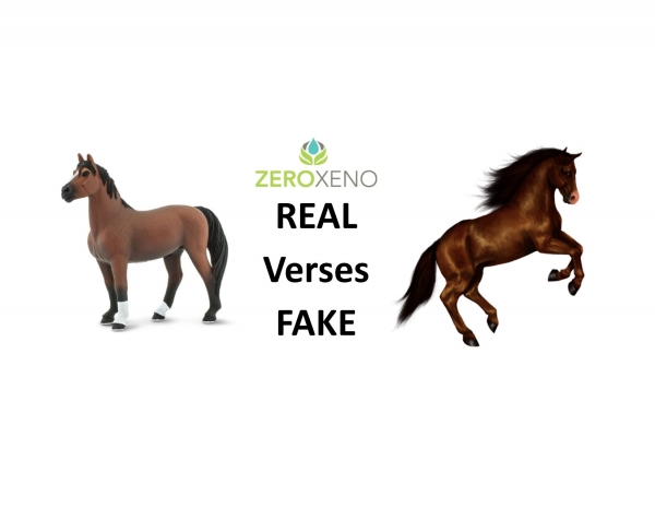 Xenoestrogens & Your Junk!