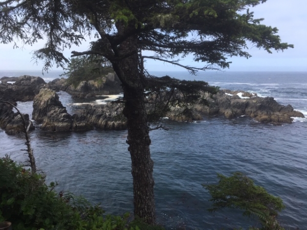 Empathy as a Coping Mechanism