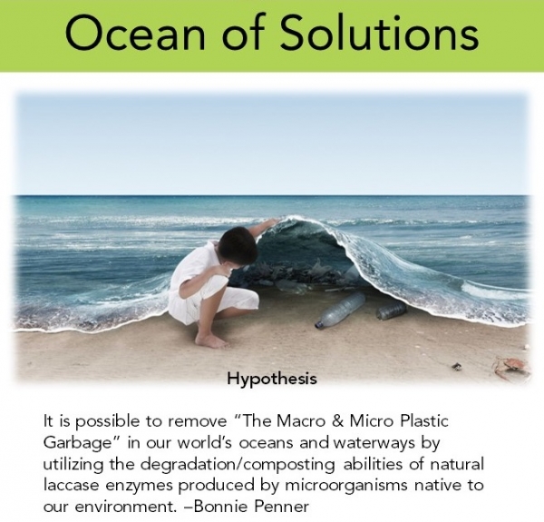 Ocean of Solutions