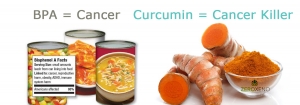 BPA Causes Cancer &amp; Curcumin Kills Cancer 