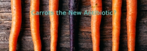 Carrots - Are They the New Antibiotic?