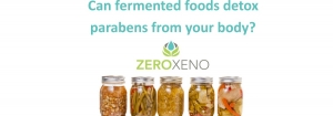 Fermented Koji &amp; Parabens - The Detox Connection