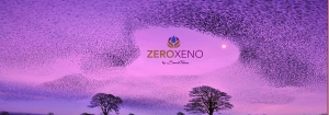 Zero Xeno Seeks Murmurations!