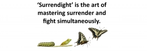 Surrendight - It&#039;s All You&#039;ve Got! 