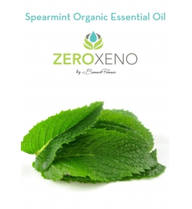 Spearmint Organic Essential Oil 